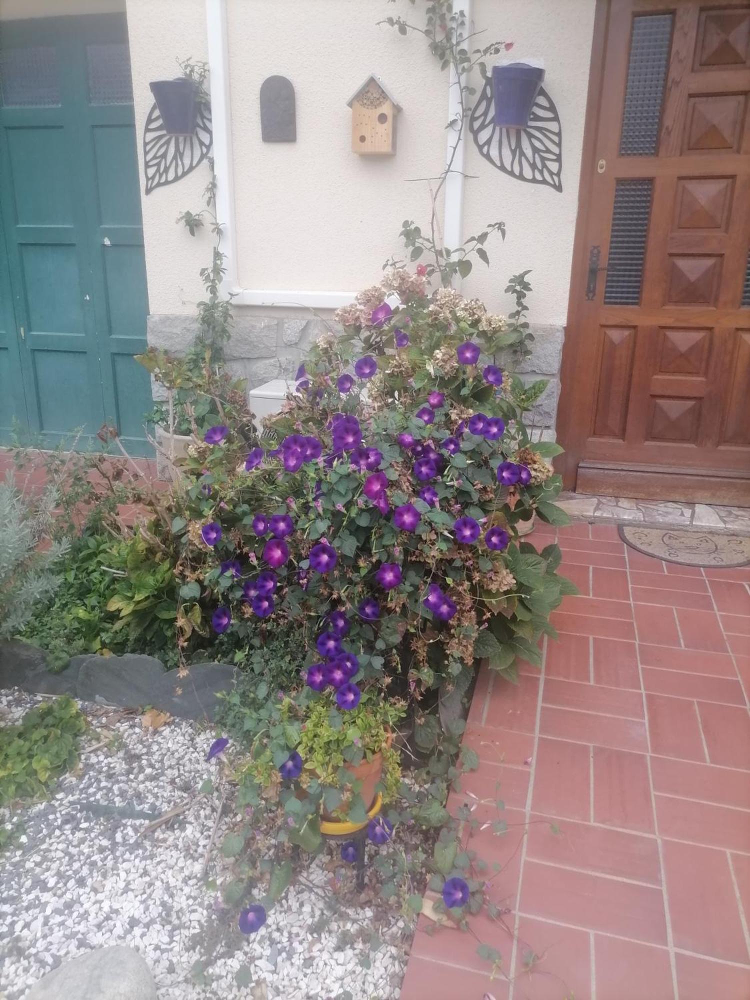 Maison Du Soleil Prades (Pyrenees-Orientales)